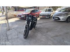 HATASIZ-2024 Regal Raptor Pilder 250............