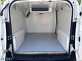 ALTINDAŞ IVECO 2.el 2020 maxi Frigo lu