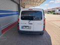 FRİGOLU 2019 MAKSİ