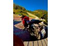 0 dan farksız Honda CBR 500R