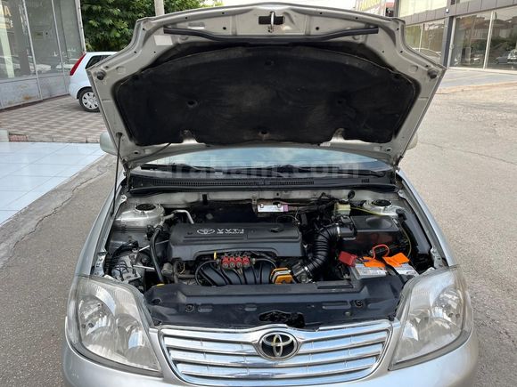 2006 MODEL TERRA SPECİAL
