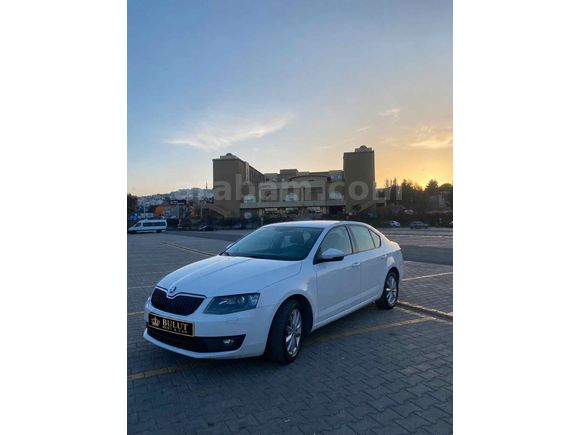 Bulut Rent-a-car'dan Skoda Octavia Şanlıurfa