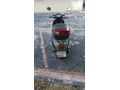 2023 MODEL ARORA MOJITO