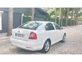 Skoda Octavia 1.6 TDI Elegance CR DSG 2011 Modell