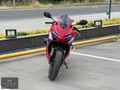 HONDA / CBR 650R / 2024
