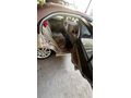 Sahibinden Honda Civic 1.6i VTEC LS 2006 Model  252.000 km Bej