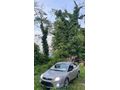 Sahibinden Ford Focus 1.6 TDCi Trend 2010 Model 