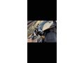 Sahibinden Seat Ibiza 1.4 Reference 2013 Model 