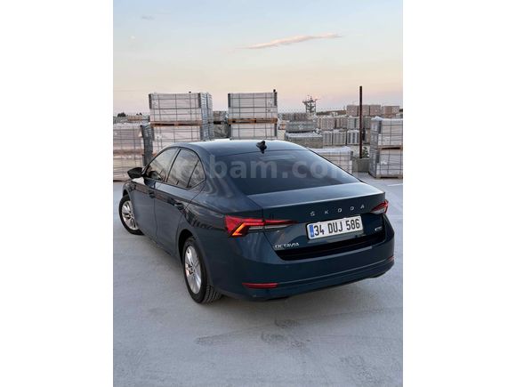 Sahibinden Skoda Octavia 1.0 e-Tec Elite 2020 Model 