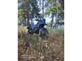 Sahibinden RKS Blackwolf 250