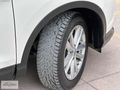 KAPLAN OTODAN B O Y A S I Z 2016 84 BİNDE