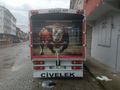 içi dışı komple sıfır çicekk
