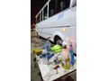 Orjinal Km 135 Binde Klimalı Cezayir
