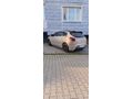 Sahibinden Fiat Bravo 1.6 Mjet Dynamic Plus 2011 Model
