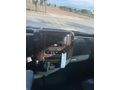 Acil satılık Sahibinden Volkswagen Crafter Servis 