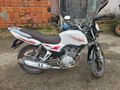 Salcano Hunter 150lik 2016 Motor Masrafsız