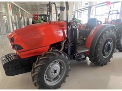  Same Frutteto3 80 natural  fazV