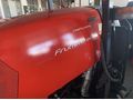 Same Frutteto3 80 natural  fazV
