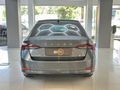 ERİN 2.EL PLAZA HATASIZ SKODA OCTAVİA 1.0 E-TEC PREMİUM