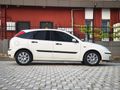 BOYASIZ focus collecion paket
