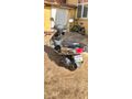 Sahibinden Kuba Pesaro 50 X