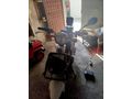 Sahibinden Yuki Active 125