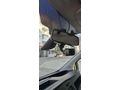Sahibinden Ford Transit Custom 340 L Trend 2018 Model
