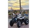 Sahibinden ATV & UTV Revolt RA5 