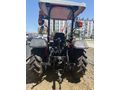 Galeriden Same Tiger 50 Samsun