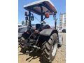 Galeriden Same Tiger 50 Samsun