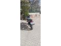 Temiz sorunsuz  Kuba Terra 125