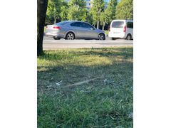 BİNİCİSİNE ÖZEL HATASIZ PASSAT 2018 ÇIKIŞLI ORJİNAL MASRAFSIZ SIFIR TADINDA.