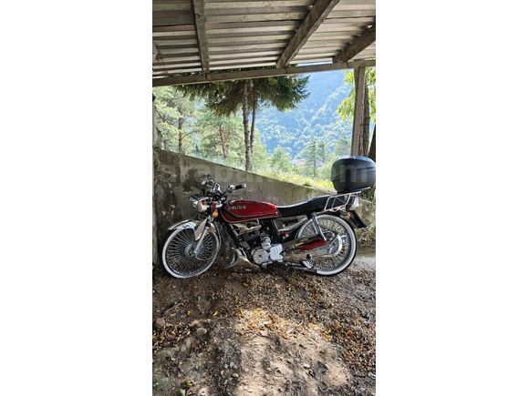 Ekstralı Kuba Çita 50R