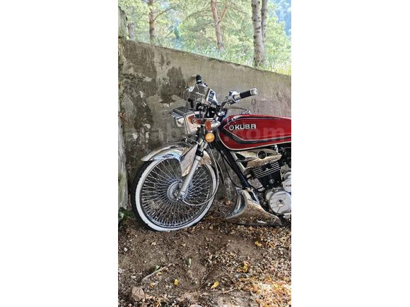 Ekstralı Kuba Çita 50R