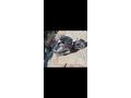 Sahibinden Yamaha X-Max 250 ABS