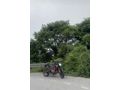 Sahibinden CFmoto 250NK 
