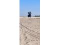 Sahibinden CFmoto 250NK 