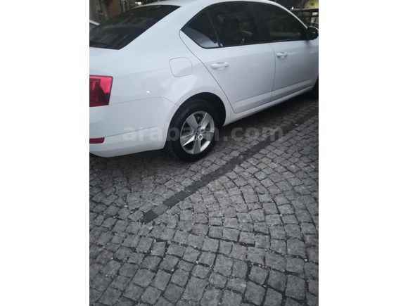 Sahibinden Skoda Octavia 1.2 TSI Optimal 2014 Model