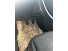 Sahibinden Seat Leon 1.2 TSI Style 2013 Model  180.000 km Gri (metalik)