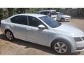 Sahibinden Skoda Octavia 1.6 TDI Optimal 2019 Model