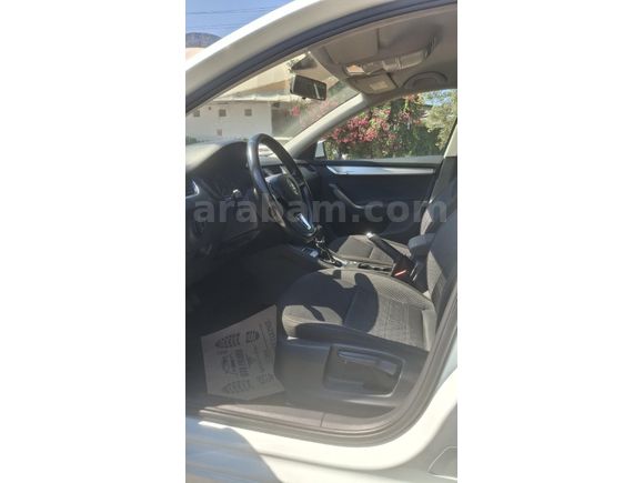 Sahibinden Skoda Octavia 1.6 TDI Optimal 2019 Model