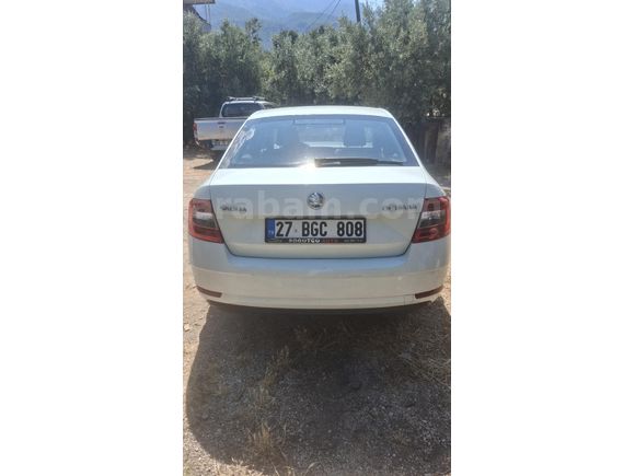 Sahibinden Skoda Octavia 1.6 TDI Optimal 2019 Model