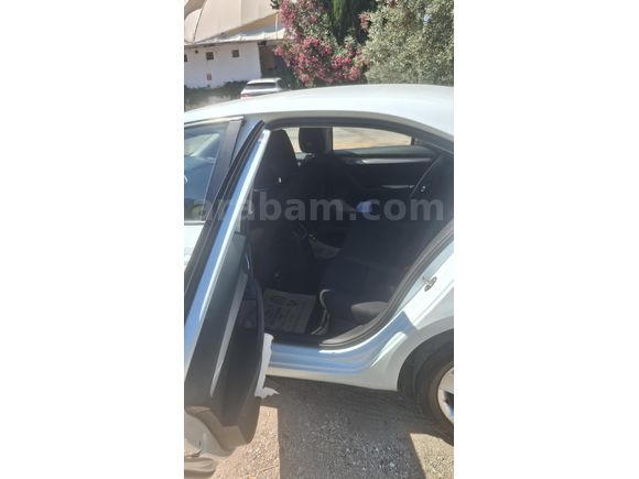 Sahibinden Skoda Octavia 1.6 TDI Optimal 2019 Model