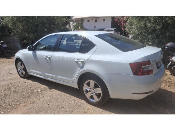 Sahibinden Skoda Octavia 1.6 TDI Optimal 2019 Model