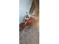 Sahibinden RKS TNT202