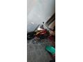 Sahibinden RKS TNT202