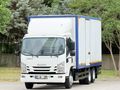2017 ISUZU NPR3D 230.000KM DE HATASIZ BOYASIZ 10 TEKER KAMYON