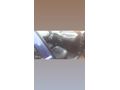 Sahibinden Ford Escort 1.6 Classic 1994.Enjeksiyon,CLX