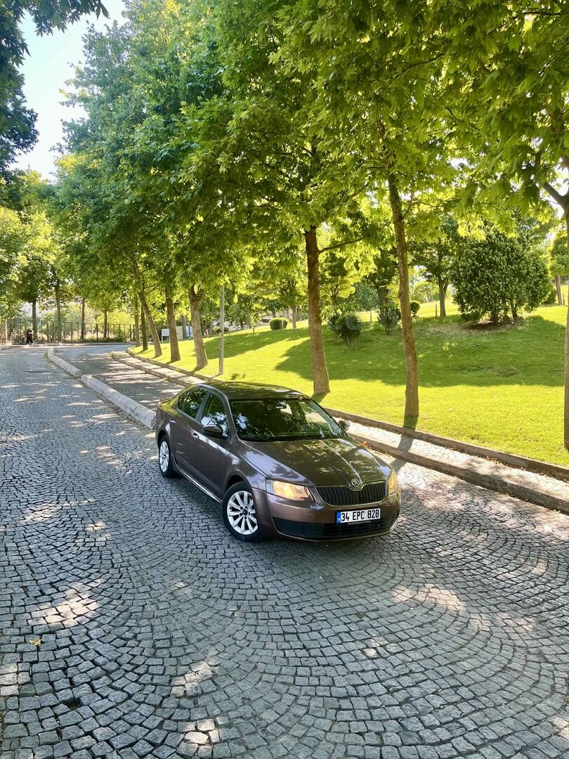 Galeriden Skoda Octavia 1.6 TDI Ambition 2014 Model İstanbul 265.000 km Kahverengi 5
