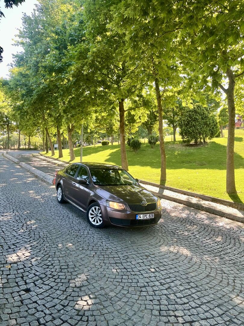 Galeriden Skoda Octavia 1.6 TDI Ambition 2014 Model İstanbul 265.000 km Kahverengi 4
